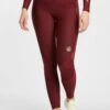 SKINS KOMPRESSIONSHOSE THERMAL LONG - Tights - Burgundy